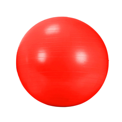 DMA AGB 434  RD rehabilitační míč Gym Ball 55 cm 