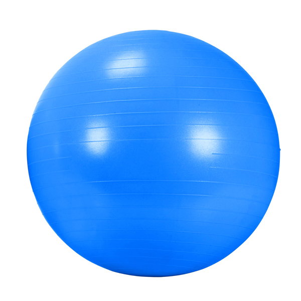 DMA AGB 434 BL rehabilitační míč Gym Ball 65 cm